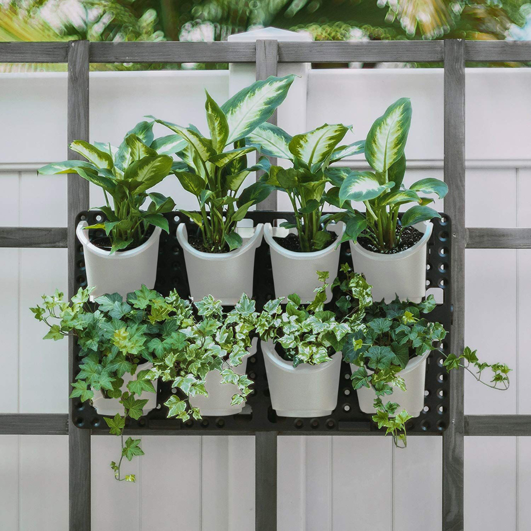 expandable green wall with built-in micro dripper - 4 pack