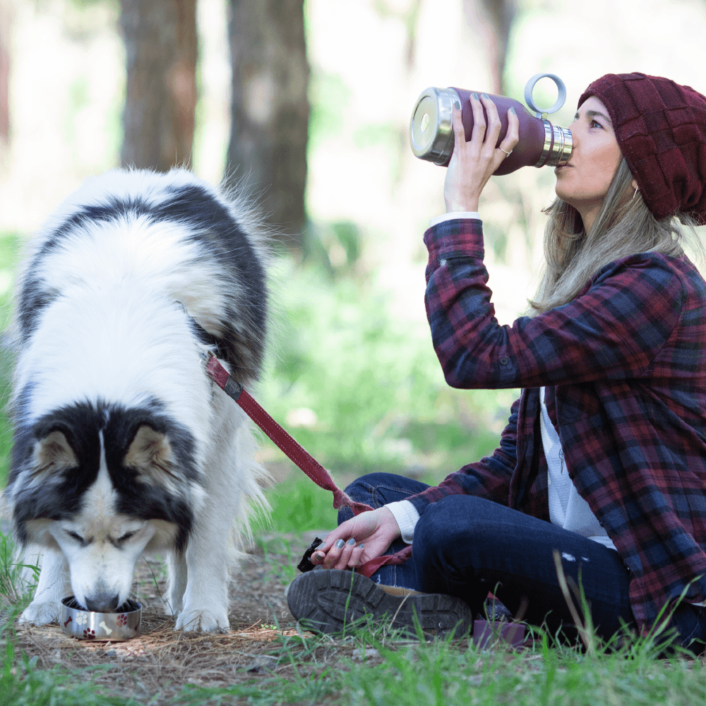 burgundy dog bowl bottle