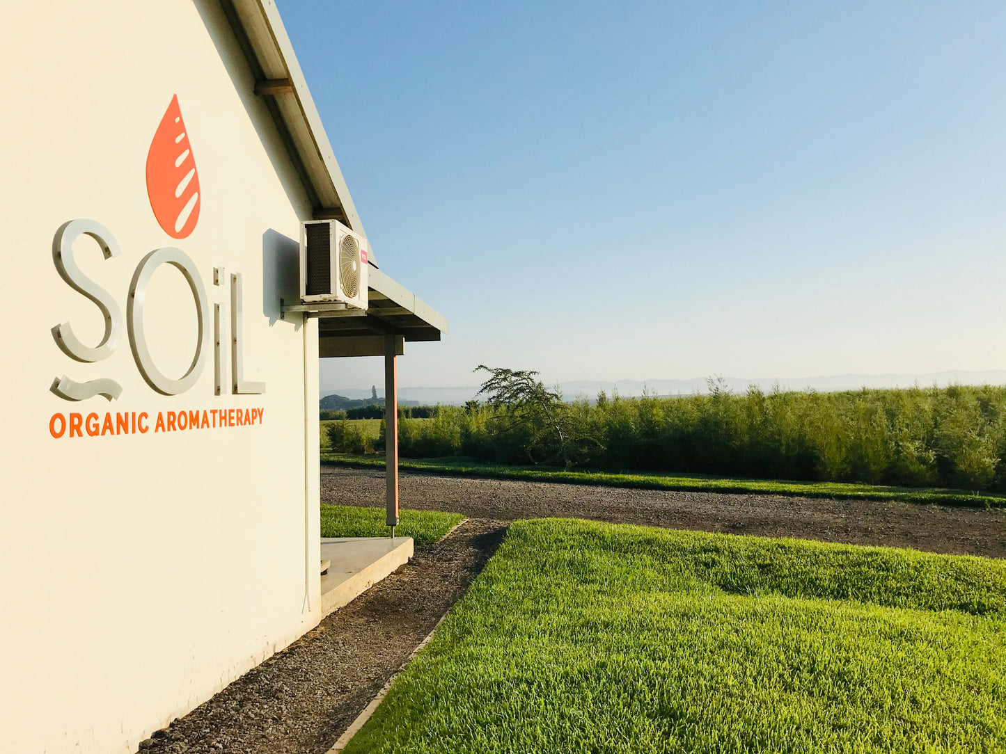 organic benzoin essential oil (styrax tonkinensis resin and alcohol) 10ml