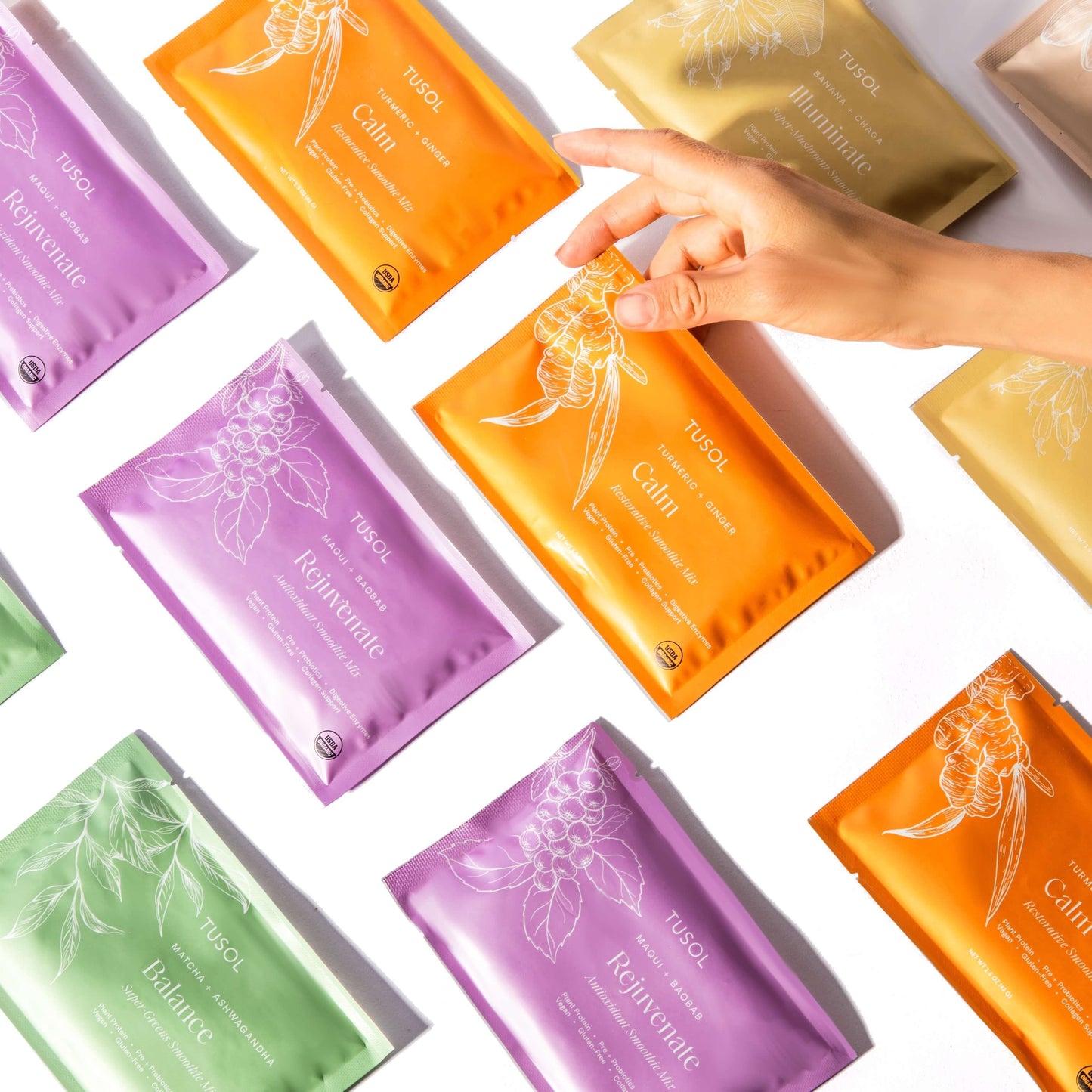 organic plant protein + superfood smoothie mix (30 pack)