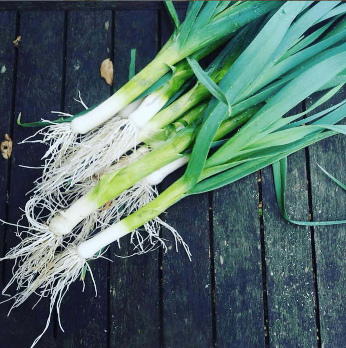 organic leek powder (refill pouch)