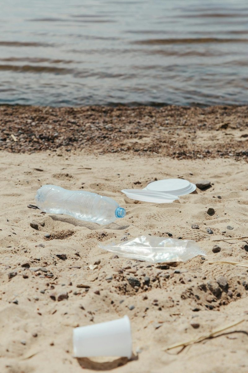 What are micro plastics and why are they harmful?