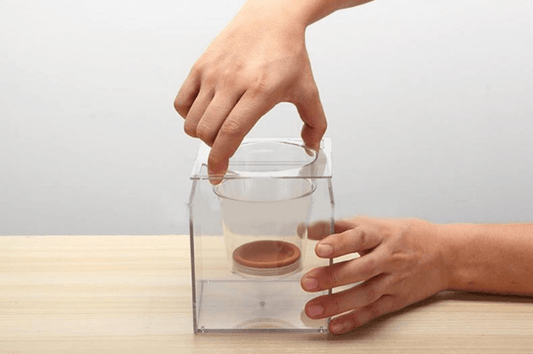 Self-Watering Transparent Flowerpot