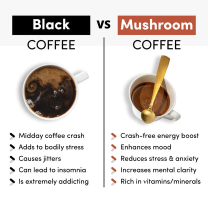 CocoTropic Organic Cocoa Mushroom Mix