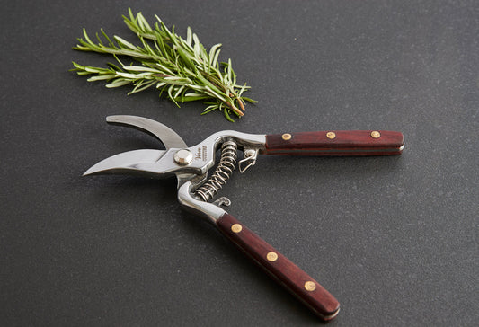 Thai Kitchen and Garden Shears