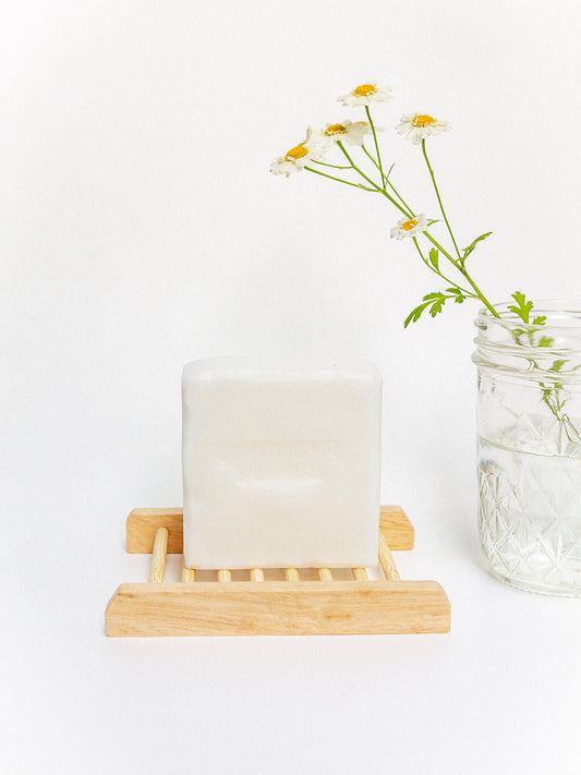 Coconut Dish Soap and Home Bar by Circular Bodies