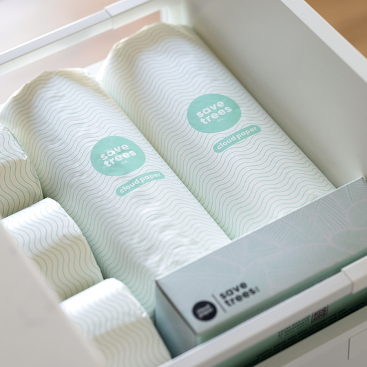 Bamboo Paper Towels by Cloud Paper