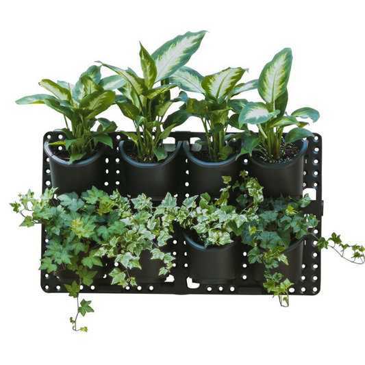 Expandable Green Wall with Built-in Micro Dripper - Single by Watex