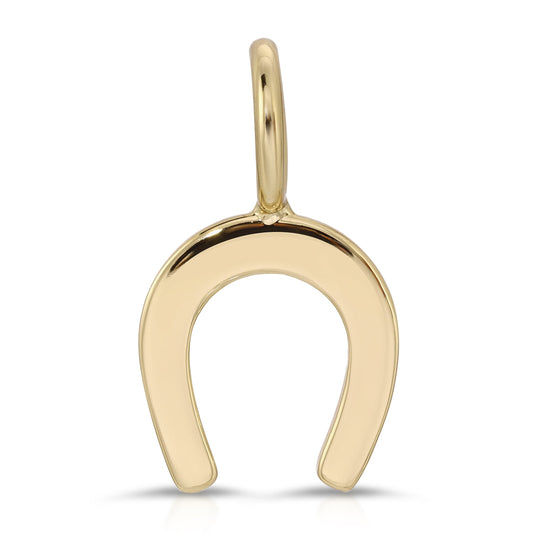 HORSESHOE CHARM
