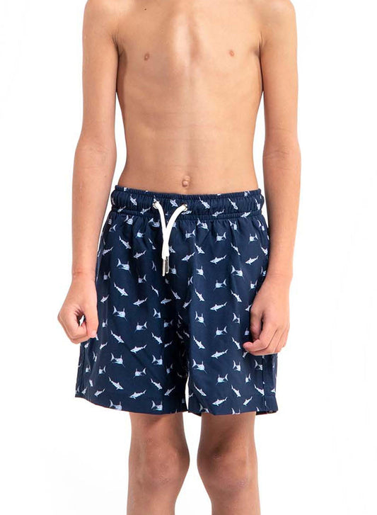 Sharks - Kids